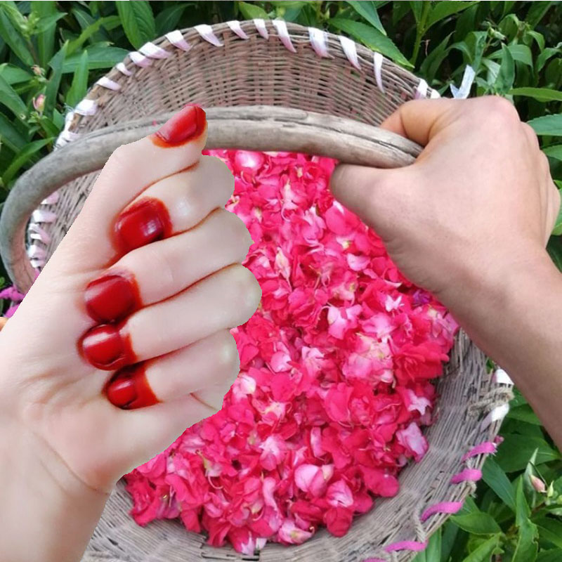 Nail Art For Men - 남녀공용 40g 헤나 네일 염색 파우더