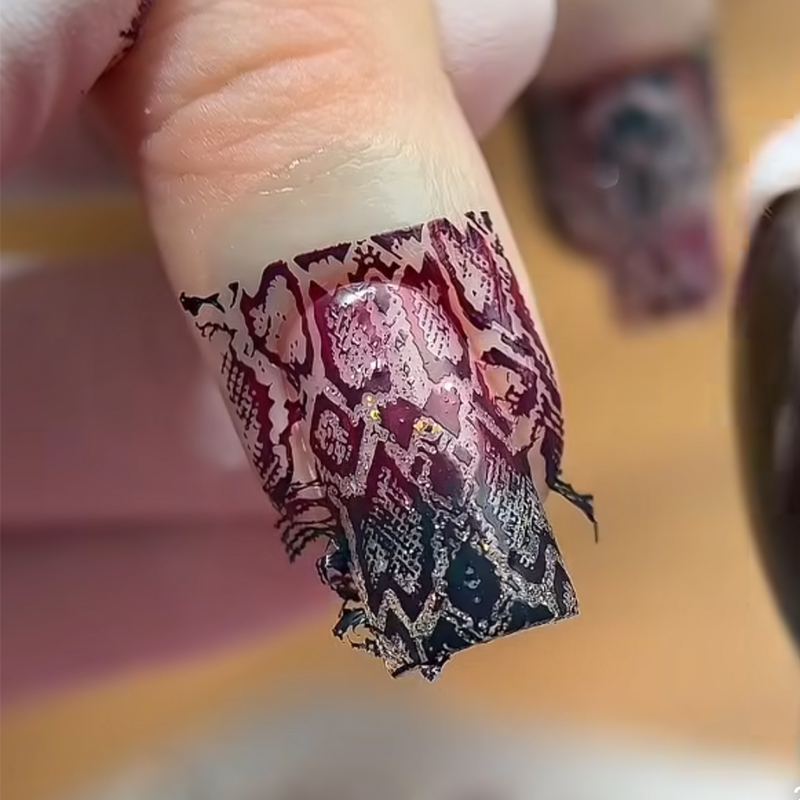 동물 이미지 뱀 레오파드 네일 스탬핑, 호랑이 얼룩말  - Nail Art Zebra 리뷰 및 가격